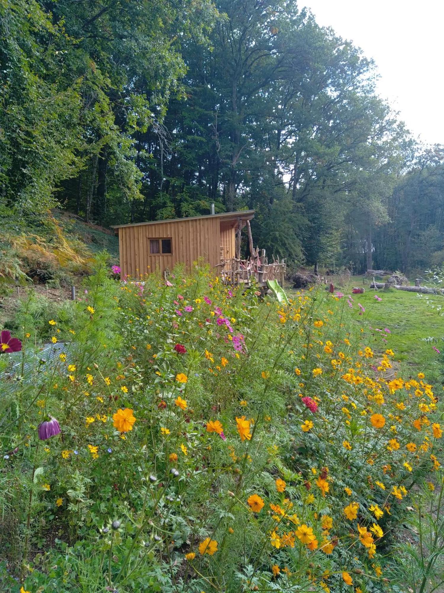 Gite Nature Au Pied Des Hetres Vitrac-sur-Montane Exterior foto